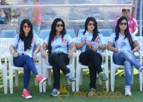 Celebs At Telugu Warriors Vs Bhojpuri Dabanggs CCL 3 Match   photo 81