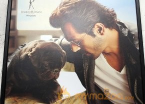 Celebs on Dabboo Ratnani's 2013 Calendar photo 10