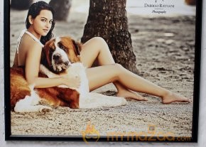 Celebs on Dabboo Ratnani's 2013 Calendar photo 4