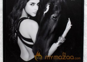 Celebs on Dabboo Ratnani's 2013 Calendar photo 21