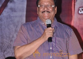 Chandi Movie Platinum Disk Function Photos photo 25