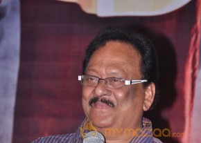 Chandi Movie Platinum Disk Function Photos photo 45