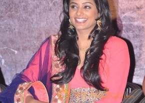 Chandi Movie Platinum Disk Function Photos photo 11