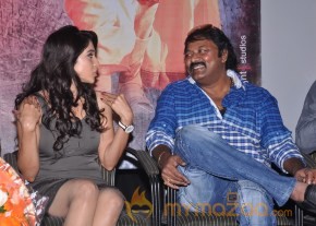 Chandi Movie Platinum Disk Function Photos photo 35
