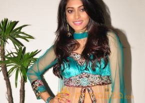 Chinna Cinema Movie Audio Launch  photo 38