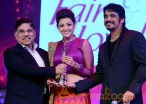 CineMAA Award 2013 Function Photos photo 7