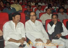 Cinemaa Mahila Awards 2013 Photos photo 11