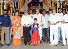 Dagudumootha Dandakor Movie Audio Launch photo 5