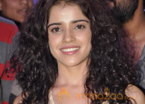 Dalam Movie Platinum Disk Event Pics photo 21