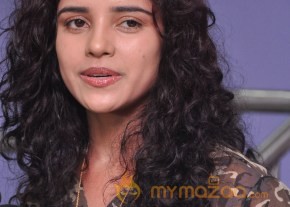 Dalam Movie Success Meet Photos photo 7