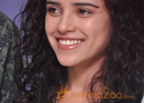 Dalam Movie Success Meet Photos photo 15