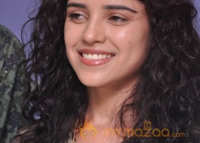 Dalam Movie Success Meet Photos photo 12