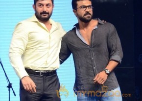 Dhruva Pre Release Function - Photos - set - 1 | Ram Charan photo 22