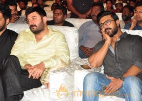 Dhruva Pre Release Function - Photos - set - 1 | Ram Charan photo 28
