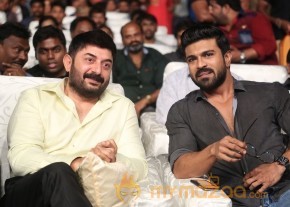 Dhruva Pre Release Function - Photos - set - 2 | Ram Charan