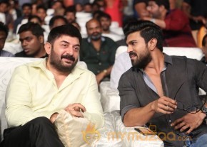 Dhruva Pre Release Function - Photos - set - 2 | Ram Charan photo 13