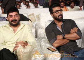 Dhruva Pre Release Function - Photos - set - 2 | Ram Charan photo 17