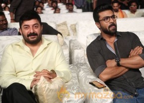 Dhruva Pre Release Function - Photos - set - 2 | Ram Charan photo 16
