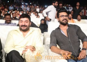 Dhruva Pre Release Function - Photos - set - 3 | Ram Charan photo 7