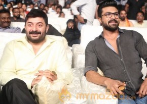 Dhruva Pre Release Function - Photos - set - 3 | Ram Charan photo 6