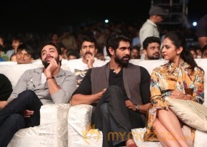 Dhruva Pre Release Function - Photos - set - 4 | Ram Charan photo 25