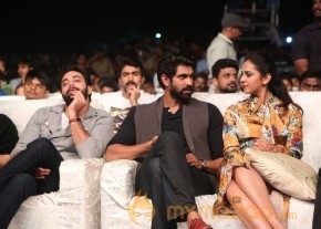 Dhruva Pre Release Function - Photos - set - 4 | Ram Charan photo 24