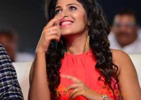 Dictator Movie Audio Launch photo 5