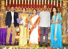 Director Siva Nageswara Rao Daughter Wedding Reception photo 5