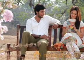 DK Bose Movie Hot Stills photo 8
