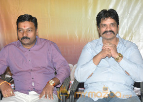 Ela Cheppanu Movie Audio Launch Photos photo 11