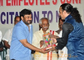 Film Industry Workers Felicitation Function  photo 21