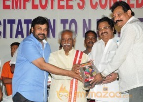 Film Industry Workers Felicitation Function  photo 22