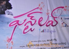 First Love Movie Audio Launch Photos photo 31