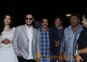Geetha maduri At Nayak-Audio-Launch Photos photo 5