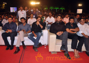 Geetha maduri At Nayak-Audio-Launch Photos photo 21