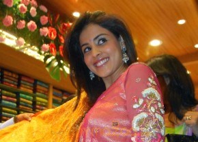 Genelia New Photo Stills In Saree photo 13