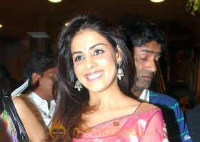 Genelia New Photo Stills In Saree photo 8