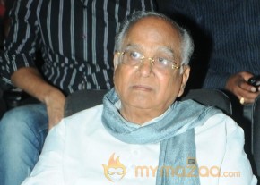 Gola Gola Telugu Movie Platinum Disc Function Photo Gallery photo 12