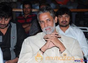 Gola Seenu Movie Audio Launch  photo 46