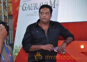 Gouravam audio launch At IPL match Photos photo 11