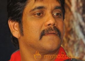 Greeku Veerudu Movie Press Meet   photo 8