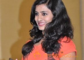 Gunde Jaari Gallanthayinde Success Meet Photos photo 44
