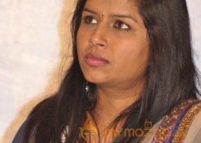 Gunde Jaari Gallanthayinde Success Meet Photos photo 21
