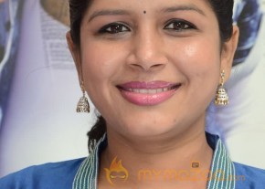 Gunde Jaari Gallanthayyinde 100 Days Sucessmeet Photos photo 45