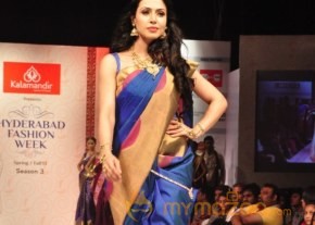 Hyderabad Fashion Week 2013 Day3 Photos photo 52