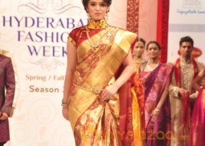 Hyderabad Fashion Week 2013 Day3 Photos photo 41