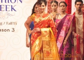 Hyderabad Fashion Week 2013 Day3 Photos photo 125