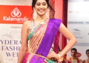 Hyderabad Fashion Week 2013 Day3 Photos photo 95