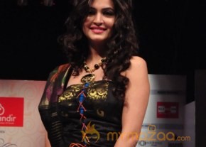 Hyderabad Fashion Week 2013 Day3 Photos photo 135
