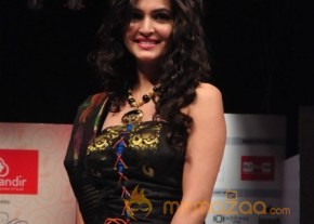 Hyderabad Fashion Week 2013 Day3 Photos photo 128